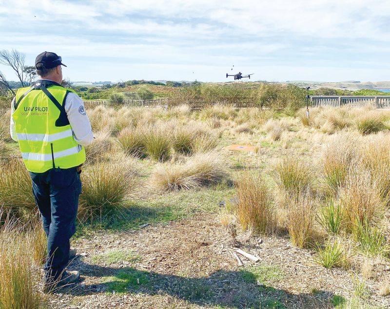 Penguin Parade boardwalk upgrade underway post image