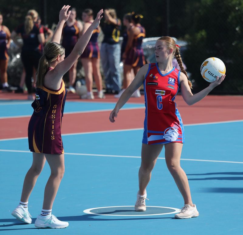 U17s dominate against Warragul Industrials post image