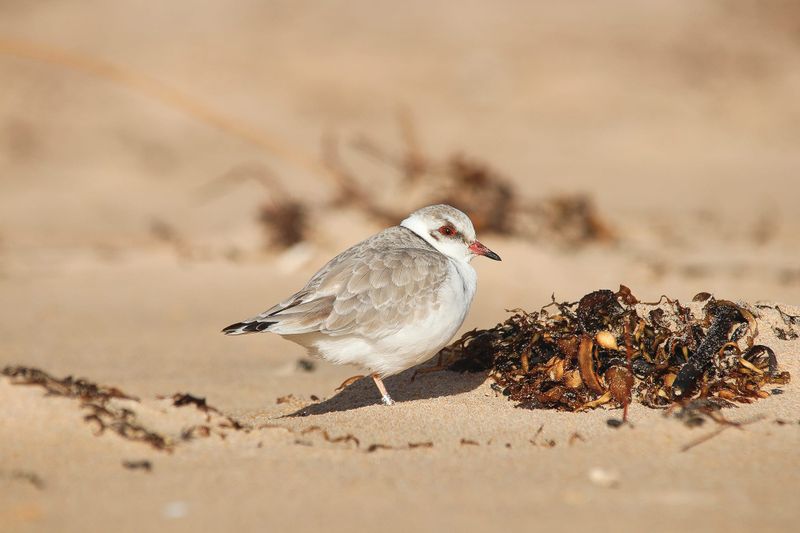 Know Your Nature Parks – Spring post image