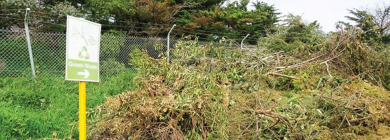 Get ready for summer with fee-free green waste disposal post image