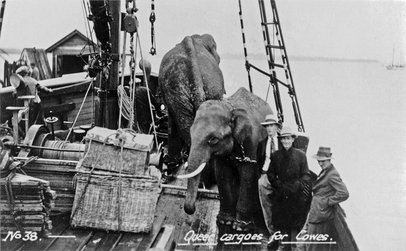 Snippets - Ferries post image