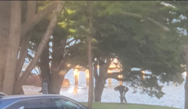 Early praise for schoolies post image