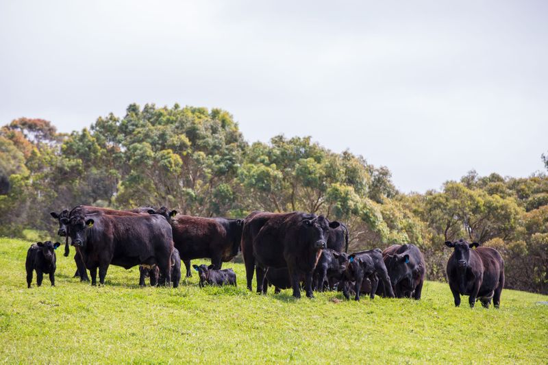 Enter the Gippsland Food and Fibre Awards post image