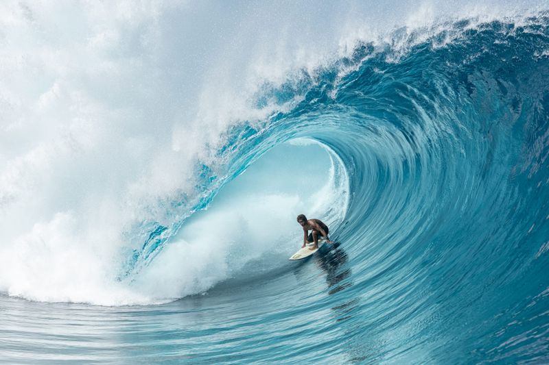 Dive into the depths of the Ocean Film Festival post image