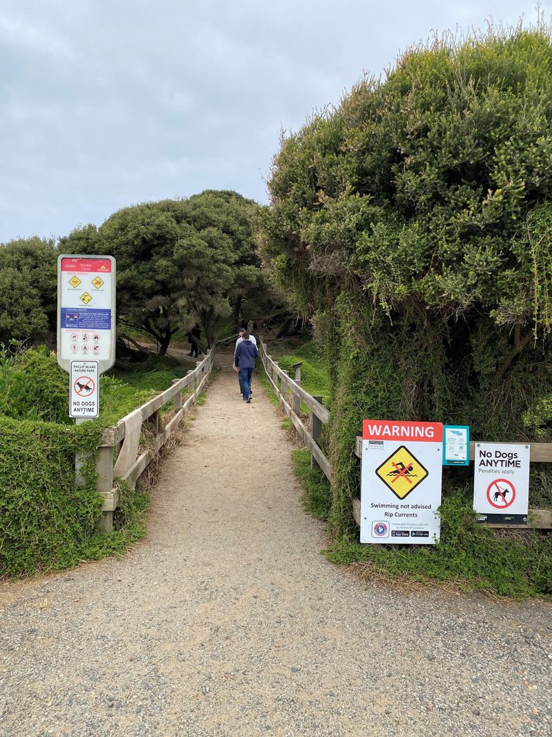 Would better signage save lives? post image