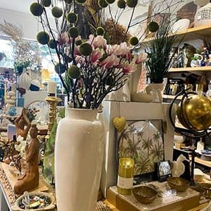 Lattitude San Remo post image