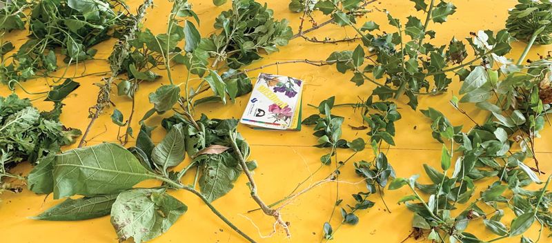 Partnership against pests post image