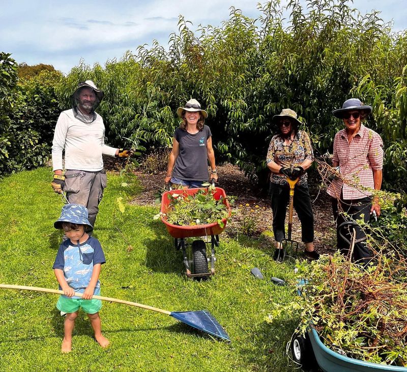 Phillip Island Community Orchard - 10th Anniversary post image