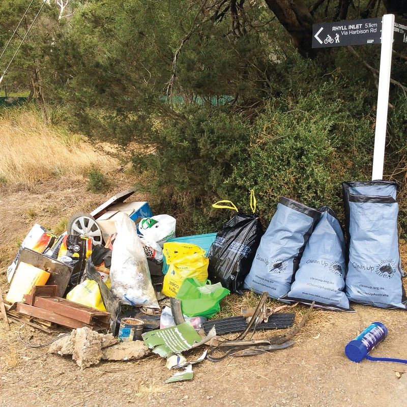 Friends of Koalas clean up post image