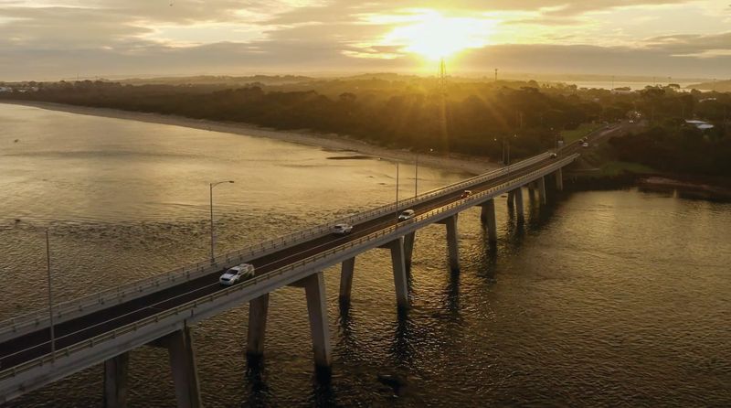 DAL is now law post image