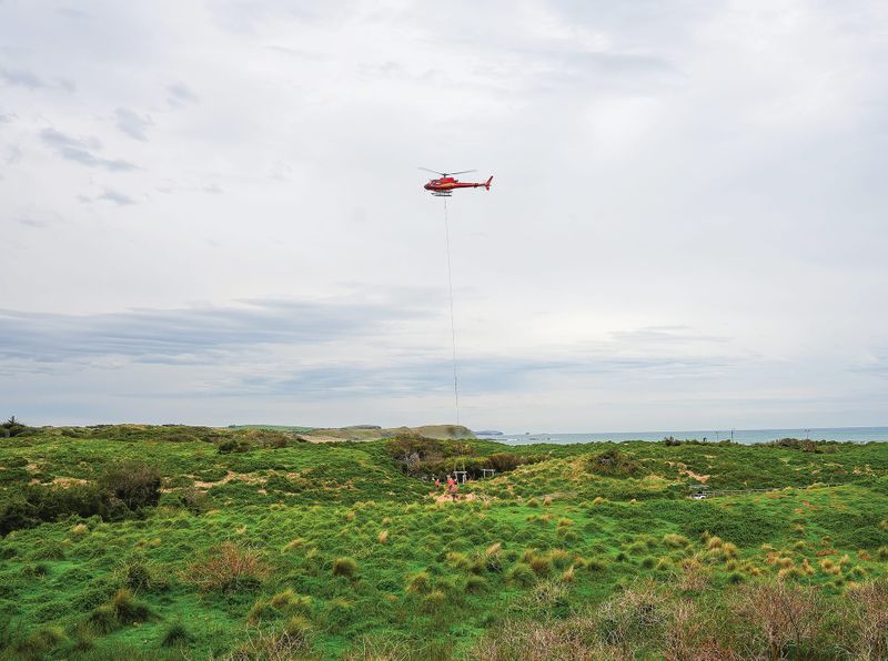 Interrupted access to Penguin Parade and Summerland Beach post image