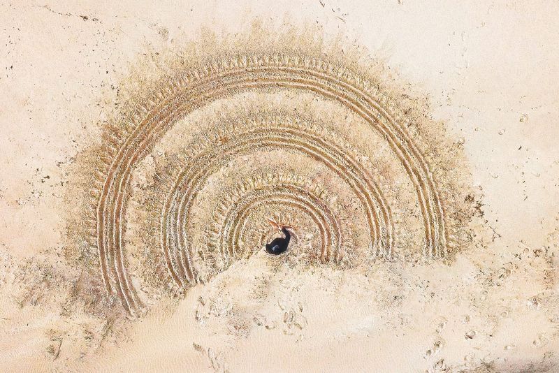 Baluk Arts presents Millowl post image