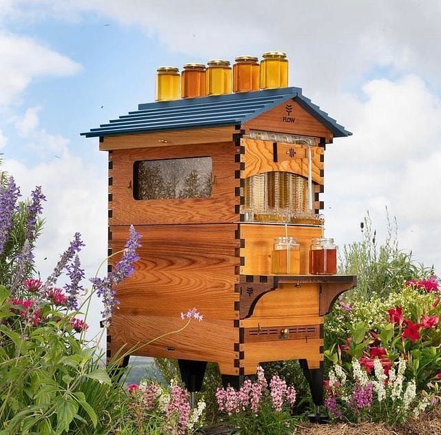 Beekeeping flow hive workshop post image