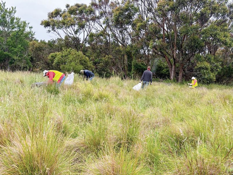 Another Scenic Estate clean up post image