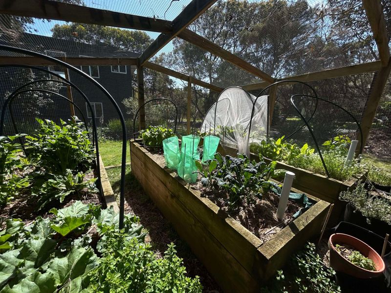 Edible Gardens Weekend post image