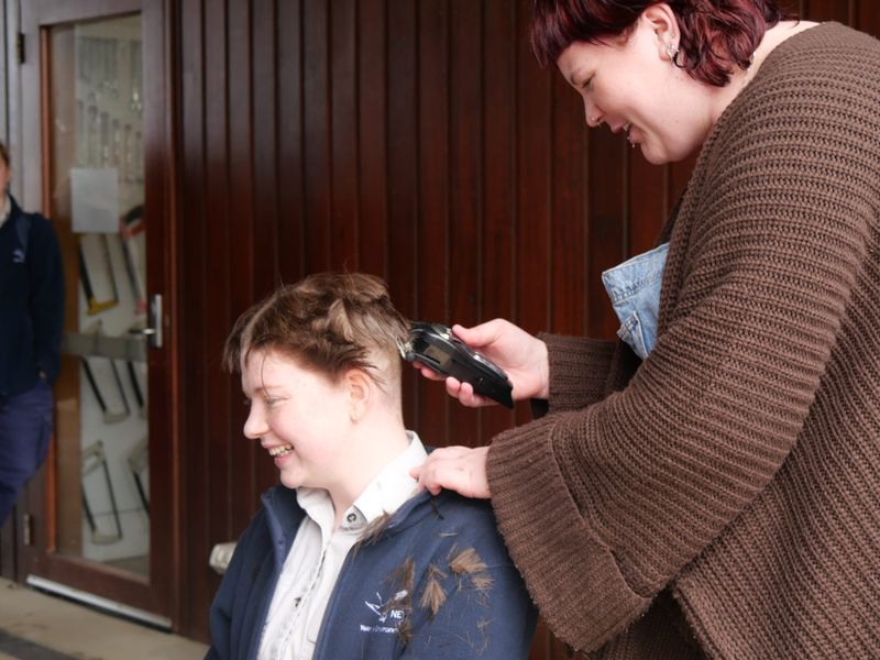 Georgia's Brave Shave for cancer post image