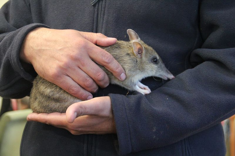 Wildlife: Nature Parks' snapshot on conservation post image