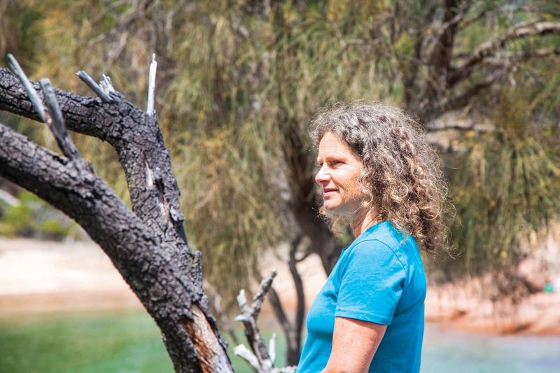 Creative Collaborations & connection to Country post image