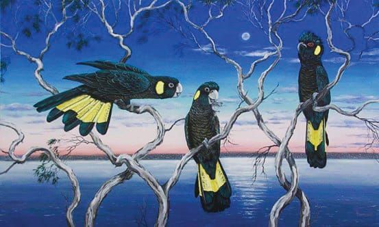 Sublime landscapes and beautiful birds post image