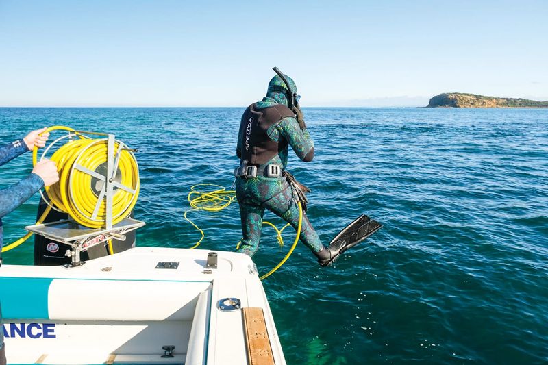 Dive into abalone and rock lobster this summer post image