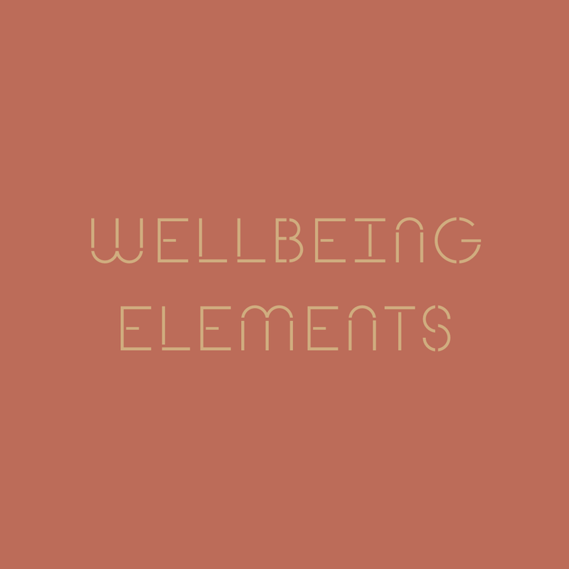 Wellbeing Elements post image