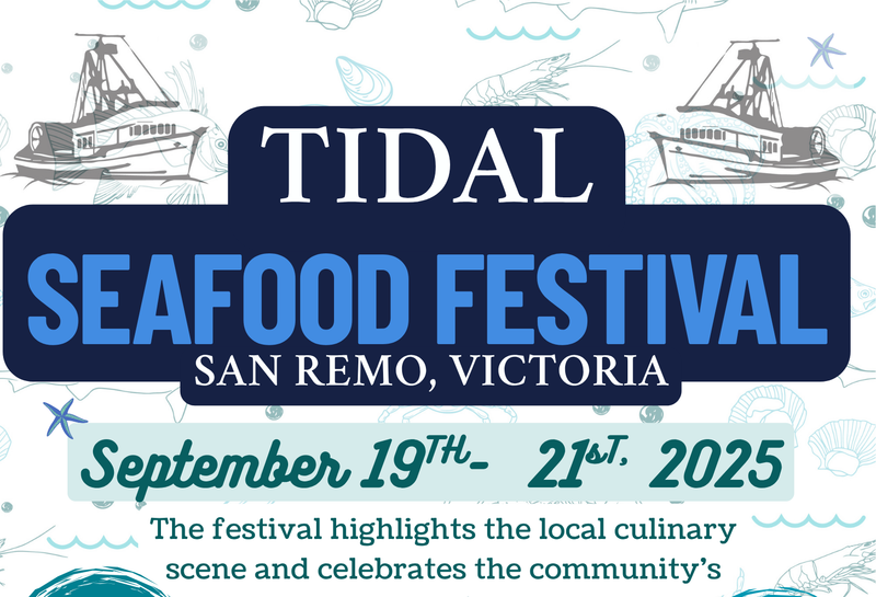 TIDAL Seafood Festival post image