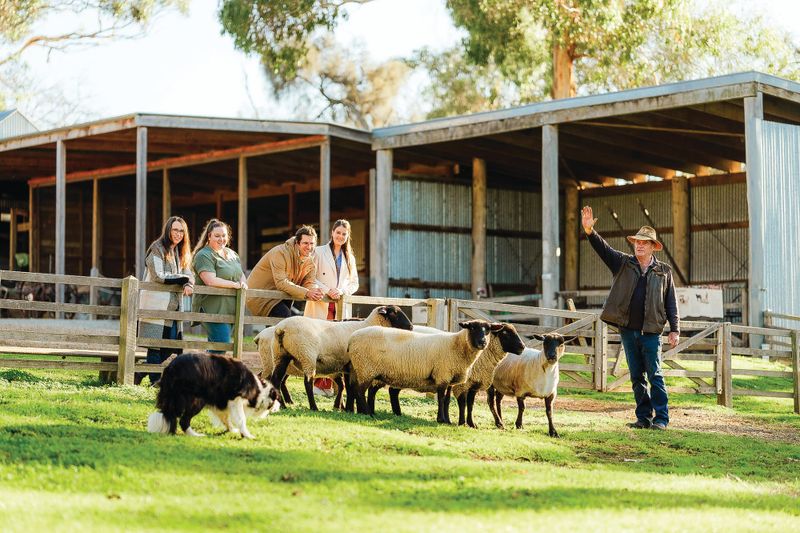 PINP - Community Open Day post image