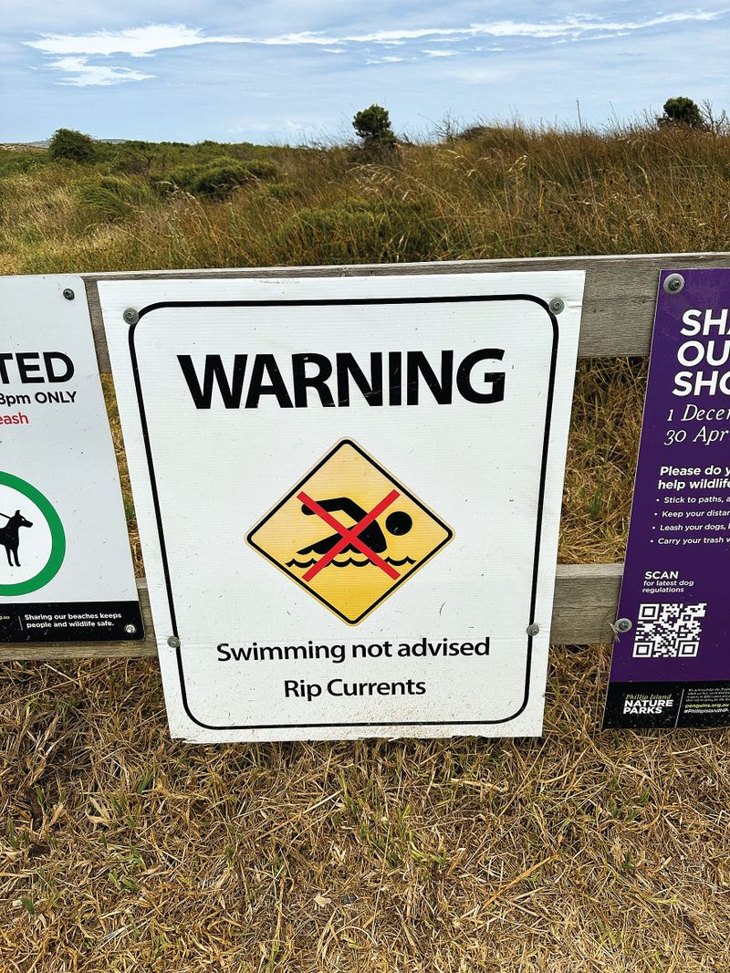 Beach Safety Research - VR session post image