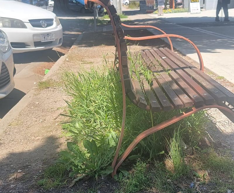 Grass will be cut: council post image