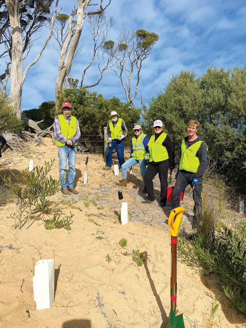 It's planting time at Red Rocks post image