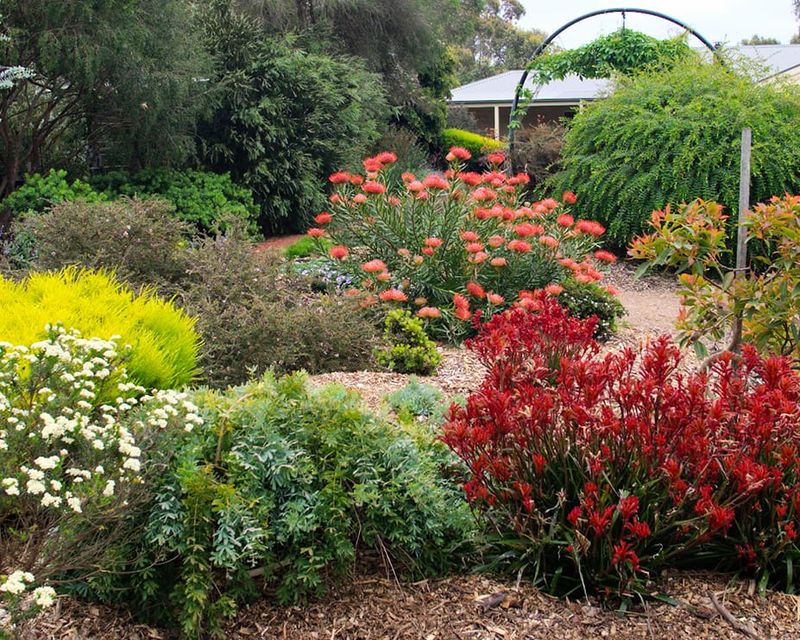 Two inspirational South Gippy gardens opening for one day only in early April post image