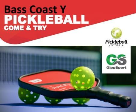 Pickleball - Come and Try at the Y post image