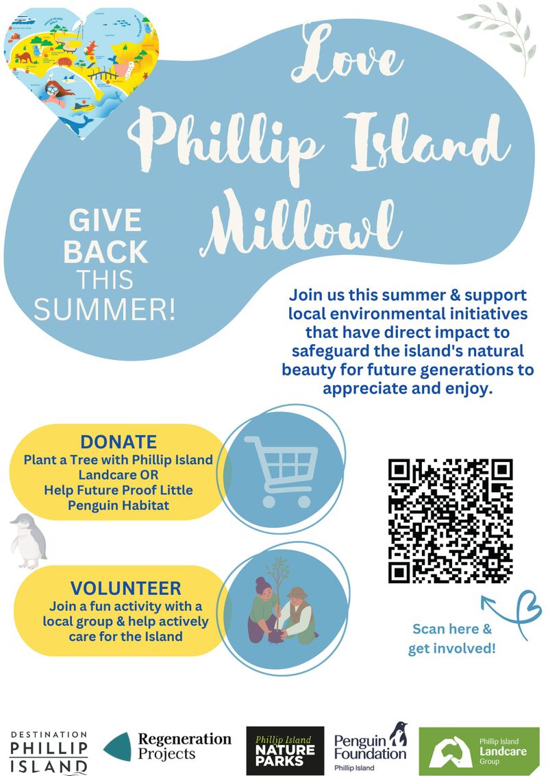 Surf Beach Sunderland Bay Coastcare Beach clean-up day post image