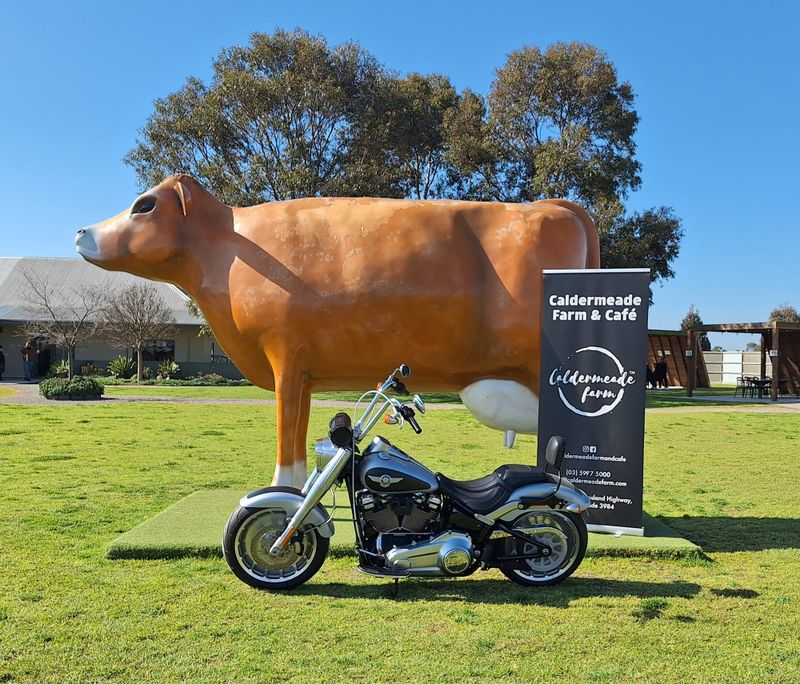 Phillip Island Community GP Run 2024 post image