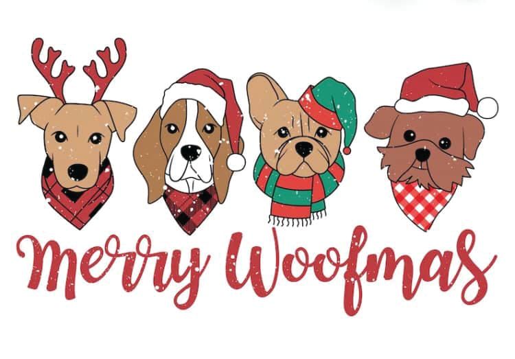 Christmas Walk - Phillip Island Bass Coast Dog Owners Association post image