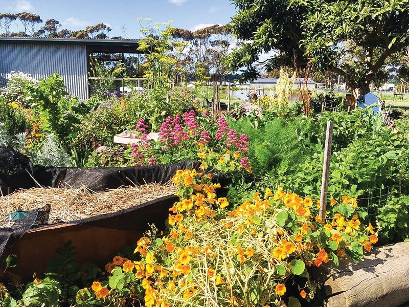 Introduction to permaculture post image