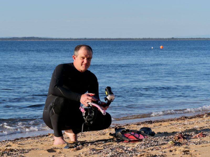 Western Port contains a soup of chemical contaminants: study post image