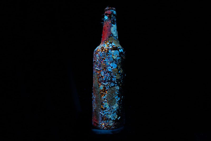 A deep dive into nature post image