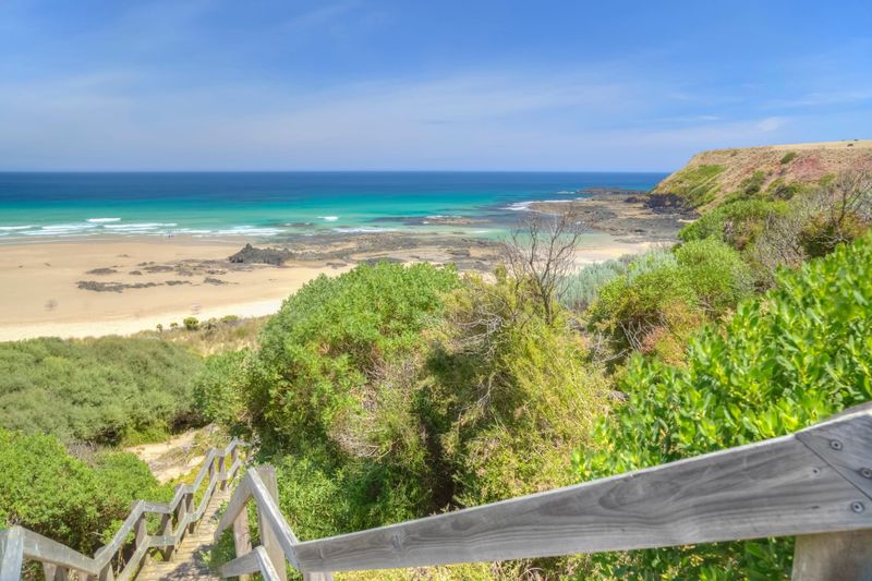 Poachers fined but not convicted for Berrys Beach abalone seizure post image