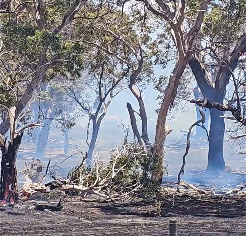 Harbison Road site closely monitored post image