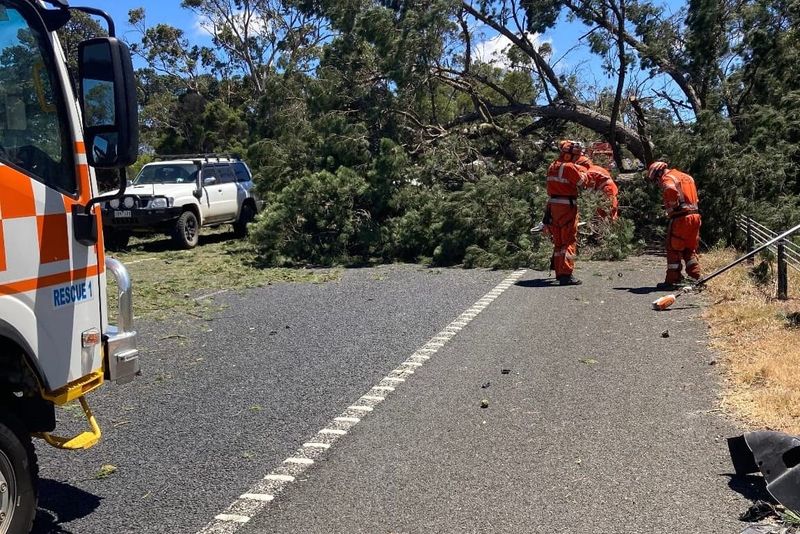 Wild winds keep SES busy post image