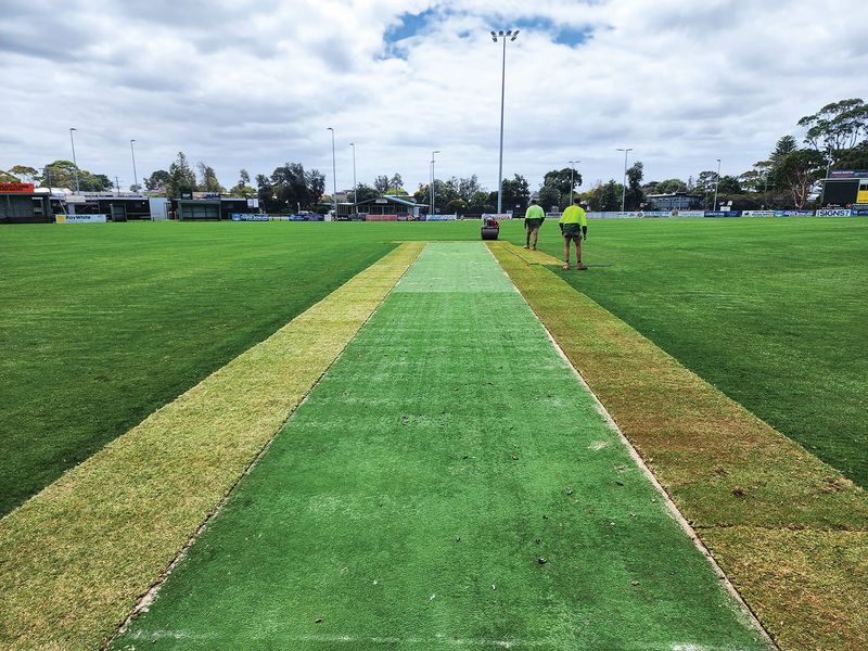 Grass is still greener post image