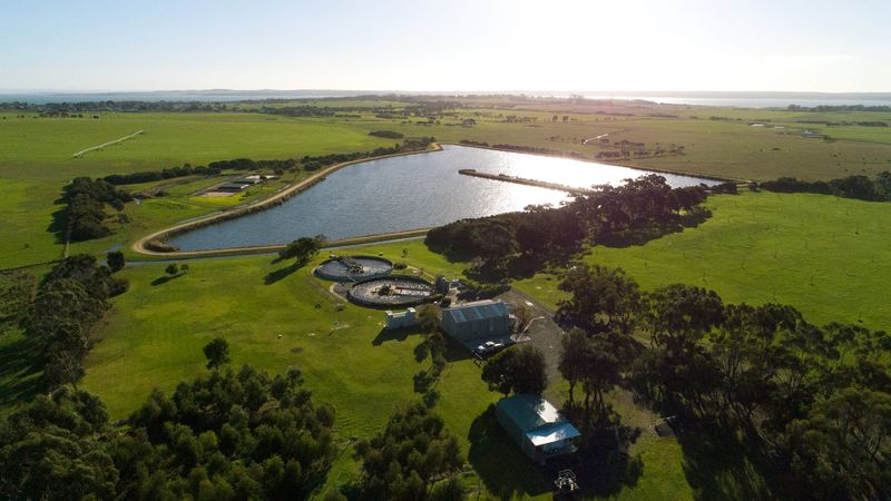 Wetland system to support wastewater treatment post image