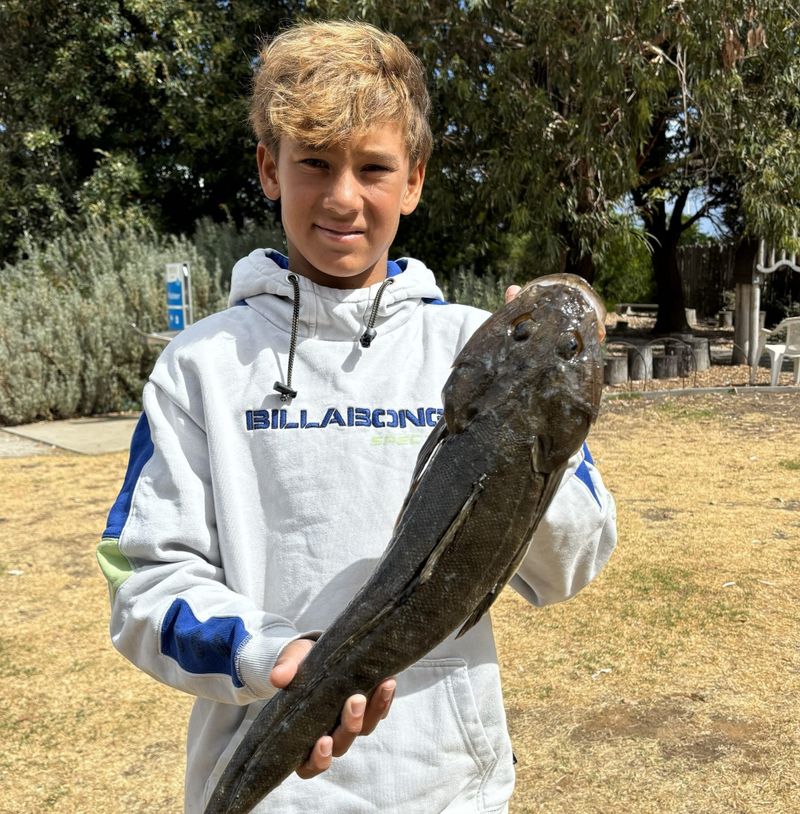 Momentum builds ahead of Westernport Whiting Classic post image