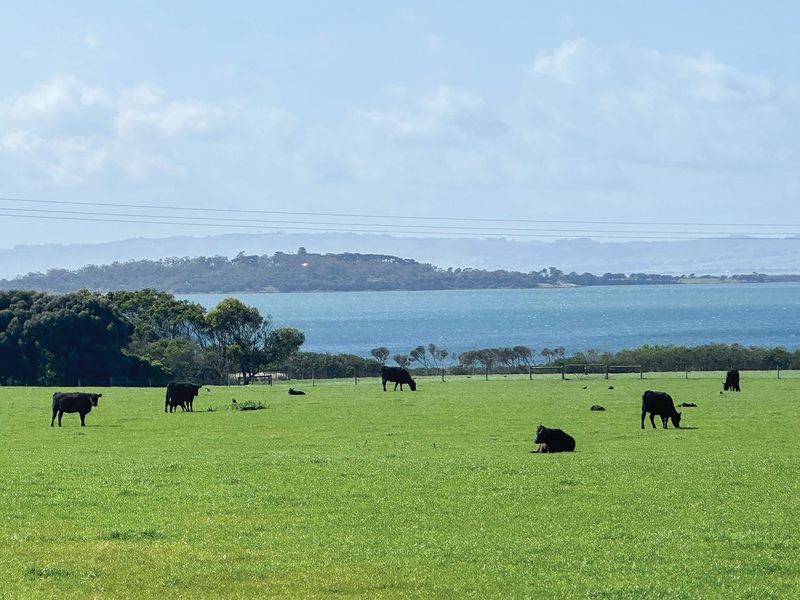 Farmers anxious ahead of council vote post image