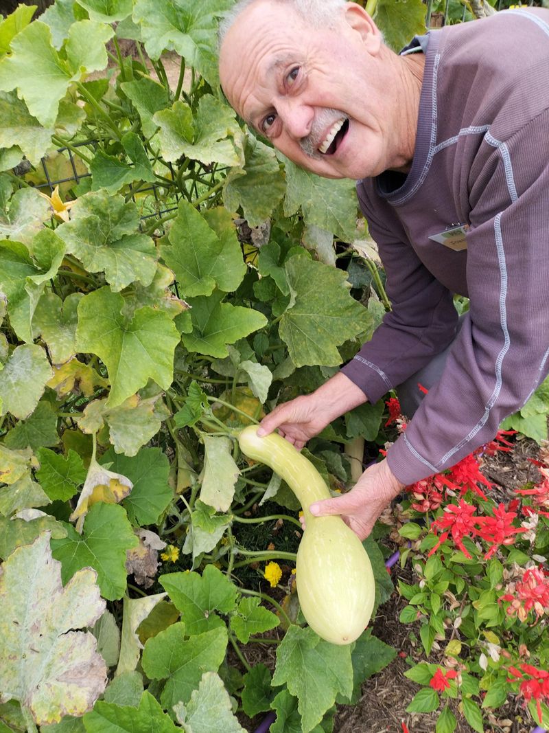 Harvest Festival at Community Orchard post image