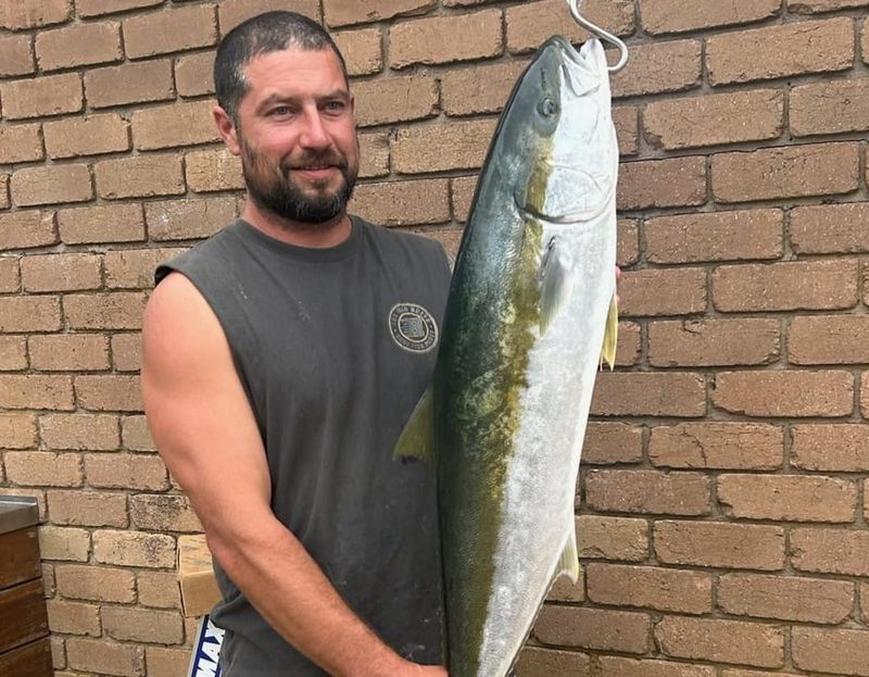 Tropical weekend: big salmon, quality flathead post image