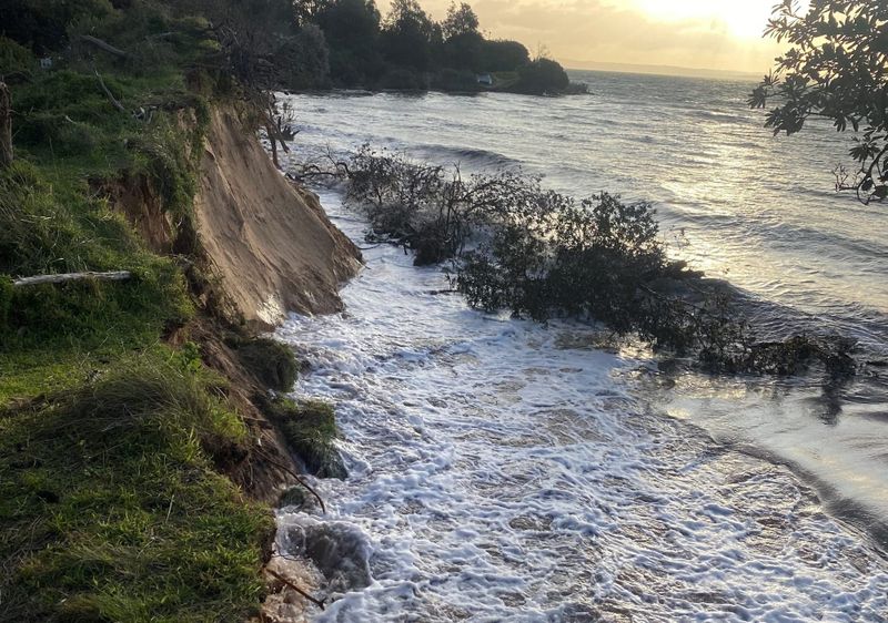 Land tax victory follows permit refusals post image