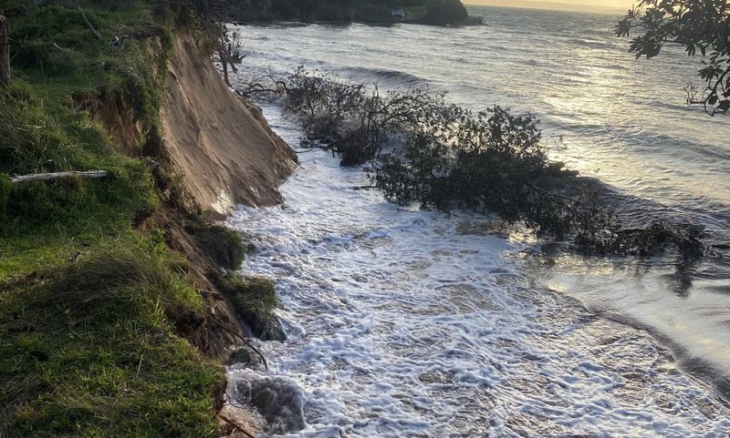 Object “if you want a land tax reduction” post image