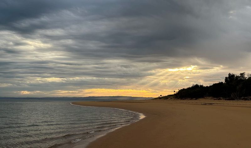 Summer rain recovers thanks to February showers post image